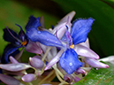%_tempFileName02-20070225-0467%
