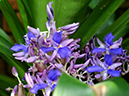 %_tempFileName03-20090307-0252%