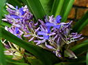 %_tempFileName04-20090307-0253%