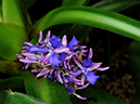 %_tempFileName05-20100306-0153%