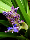 %_tempFileName06-20100306-0154%