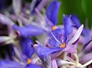 %_tempFileName08-20110423-0237%