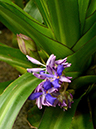 %_tempFileName10-20130302-0215%