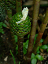 %_tempFileName01-20060304-0348%