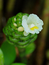 %_tempFileName02-20110716-0179%