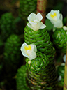 %_tempFileName03-20110716-0180%