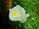 %_tempFileName04-20110716-0181%