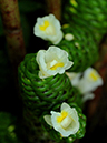 %_tempFileName05-20110716-0182%