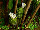%_tempFileName06-20120603-0220%