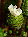 %_tempFileName07-20120603-0221%