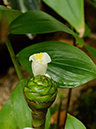 %_tempFileName08-20120603-0223%