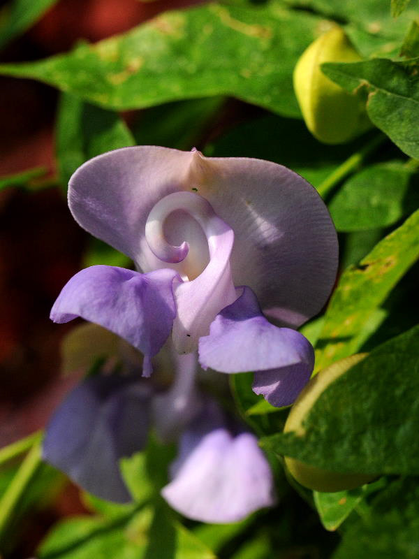 %_tempFileName02-20110227-0133%