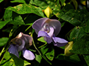 %_tempFileName01-20110227-0130%