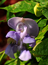 %_tempFileName02-20110227-0133%