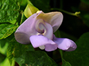%_tempFileName03-20110227-0134%