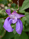 %_tempFileName04-20121008-0246%