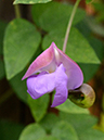 %_tempFileName05-20121008-0248%