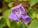 %_tempFileName06-20121008-0258%