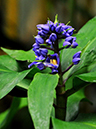 %_tempFileName01-20091025-0184%