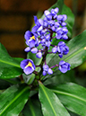 %_tempFileName02-20091025-0185%