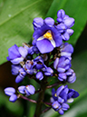 %_tempFileName03-20091025-0186%
