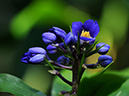 %_tempFileName04-20091108-0200%
