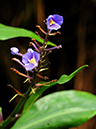 %_tempFileName06-20091122-0264%