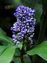%_tempFileName07-20100928-0080%