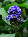 %_tempFileName08-20101003-0053%