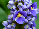 %_tempFileName09-20130921-0021%
