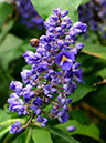%_tempFileName10-20131019-0068%