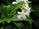 %_tempFileName01-20090711-0606%