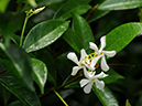 %_tempFileName02-20090711-0607%