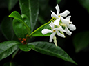 %_tempFileName03-20090711-0609%