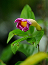 %_tempFileName02-20081124-0185%