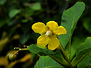 %_tempFileName02-20090628-0289%