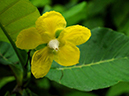 %_tempFileName03-20090725-0577%