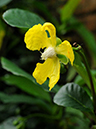 %_tempFileName04-20100627-0092%