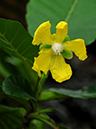 %_tempFileName05-20100627-0100%