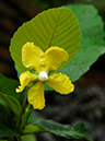 %_tempFileName06-20100704-0236%