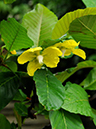 %_tempFileName07-20100704-0237%