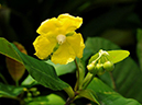 %_tempFileName08-20110626-0108%