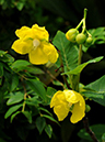 %_tempFileName09-20110626-0109%