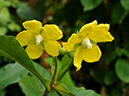 %_tempFileName10-20110703-0235%