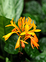 %_tempFileName01-20101114-0321%