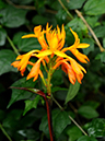 %_tempFileName02-20101114-0322%