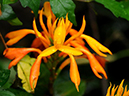 %_tempFileName03-20101114-0323%