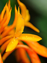 %_tempFileName04-20101114-0324%