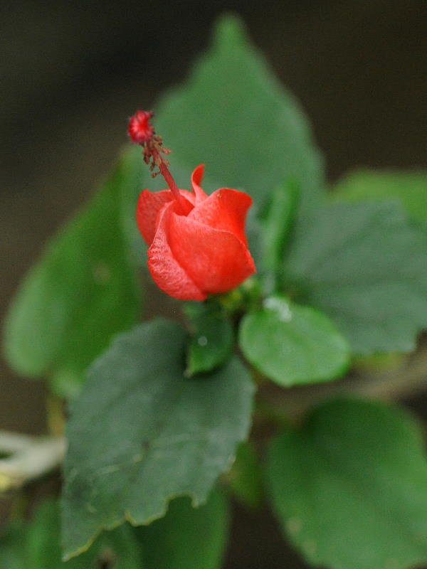 %_tempFileName09-20100306-0167%