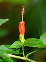 %_tempFileName01-20091122-0260%